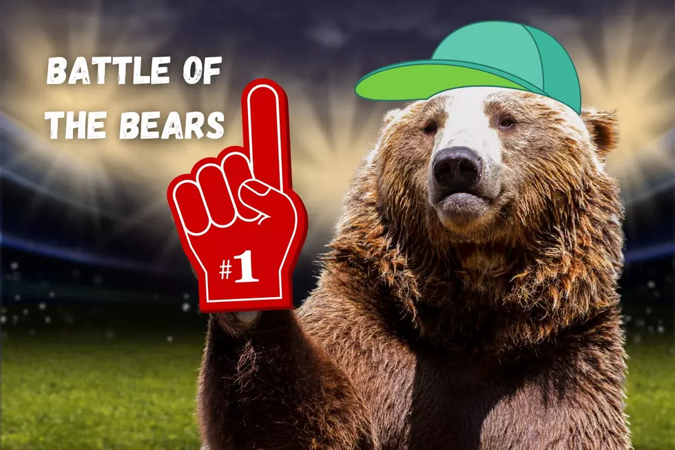 Montana Grizzlies Are Intimidating But Have You Heard About Kodiak Bears?