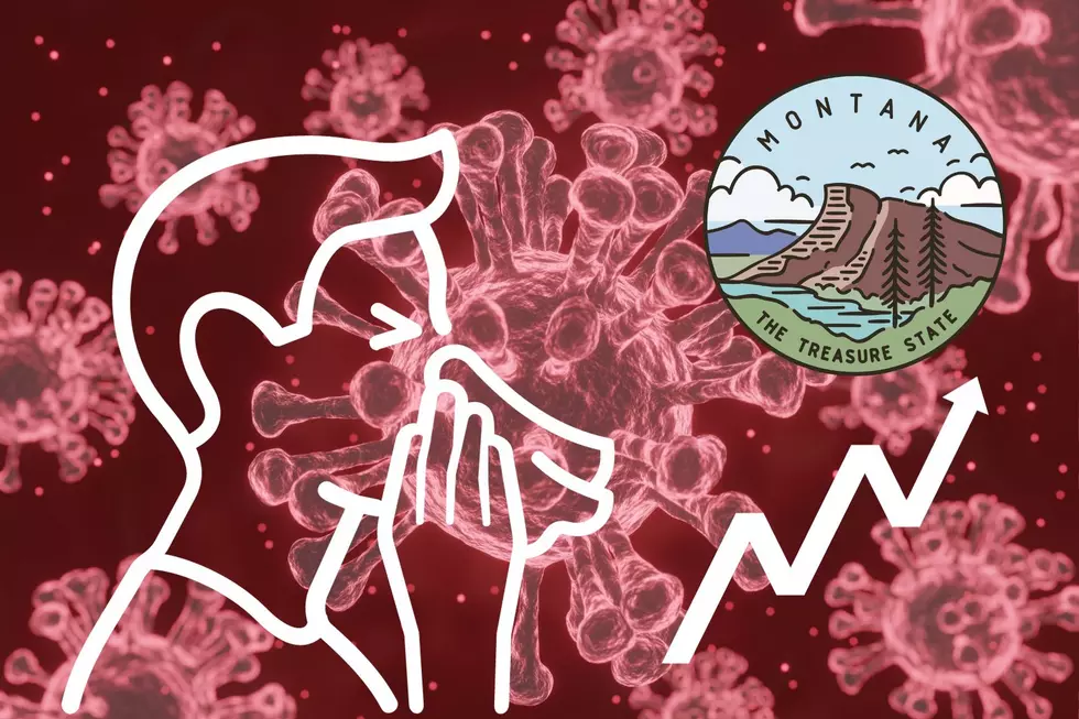 Montana Reports First Pediatric Influenza Death Of The Season